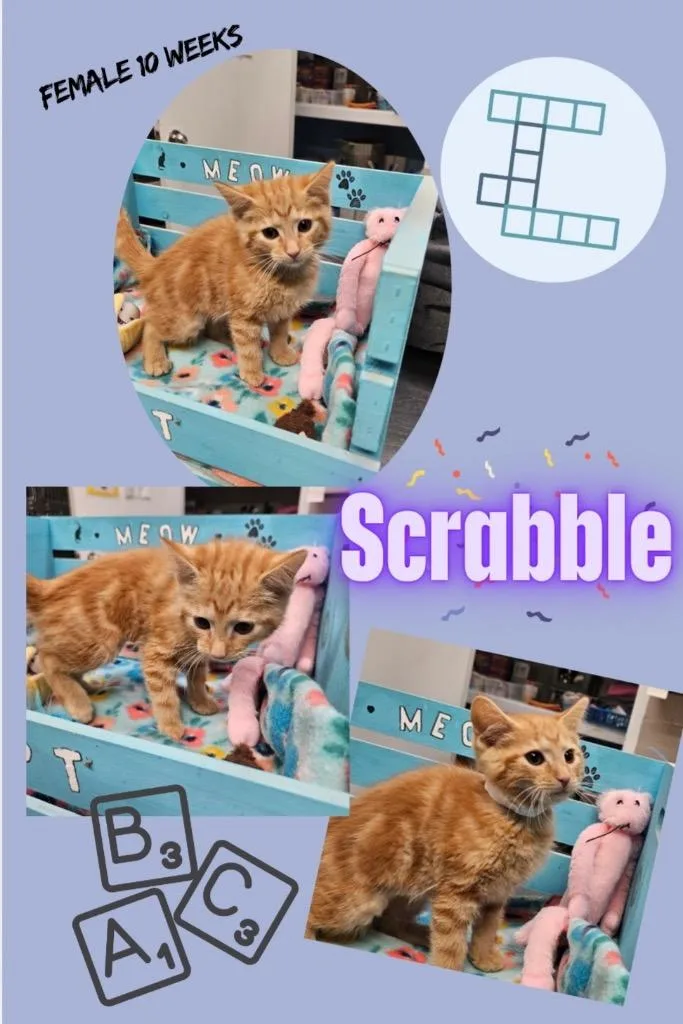 Scrabble