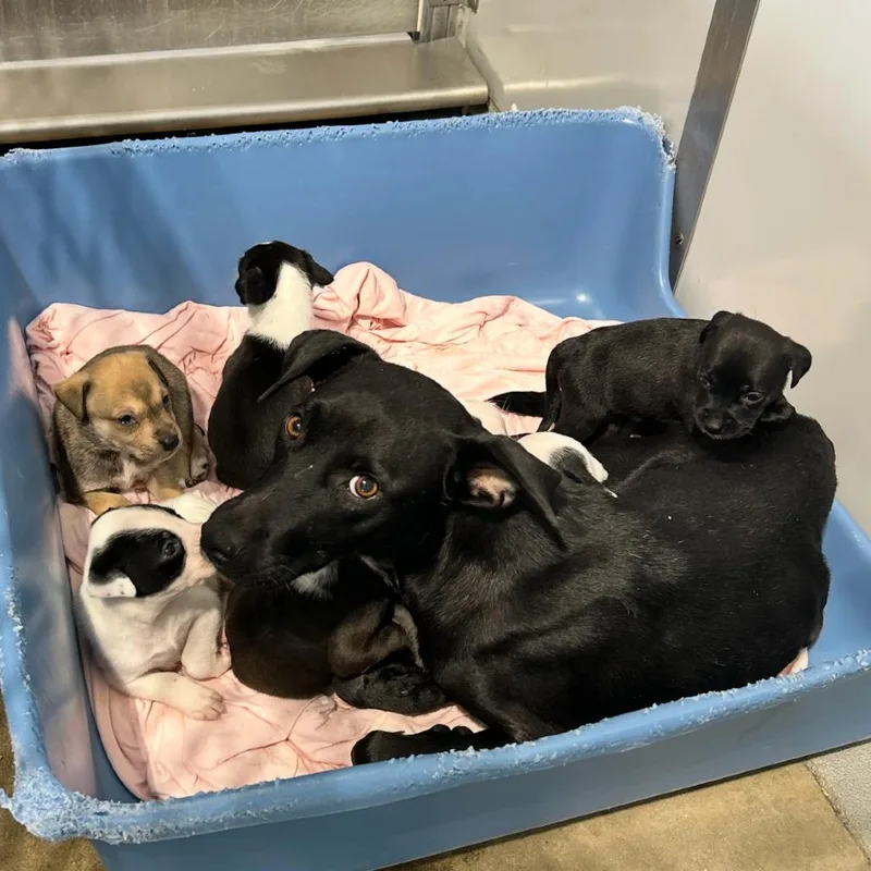 Caroline thumbnail 2