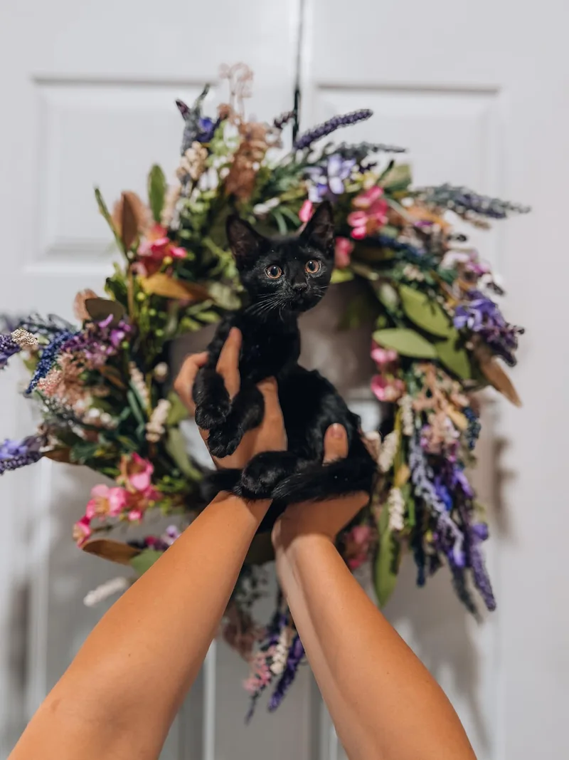 Binx