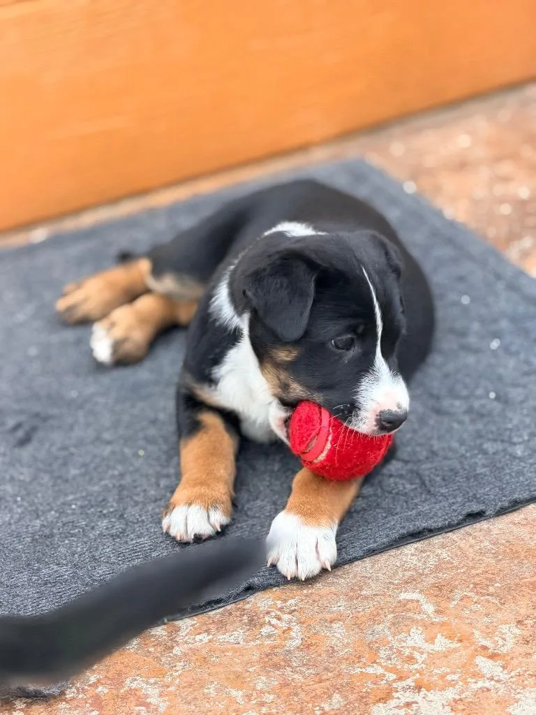 Montañita thumbnail 2