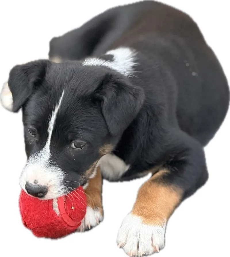 Montañita thumbnail 3