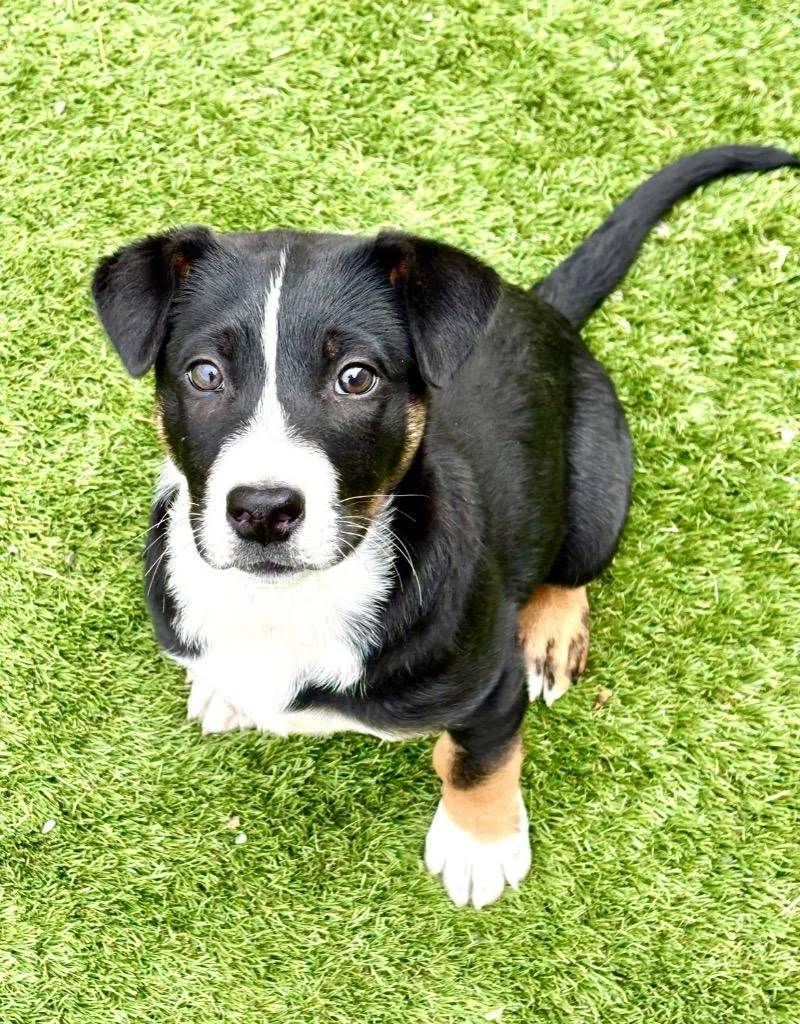 Montañita thumbnail 4