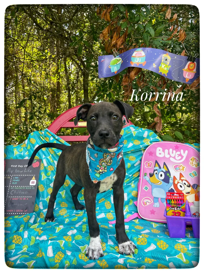 Korrina