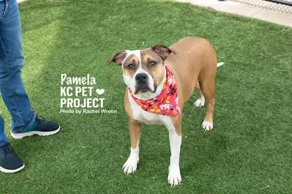Pamela