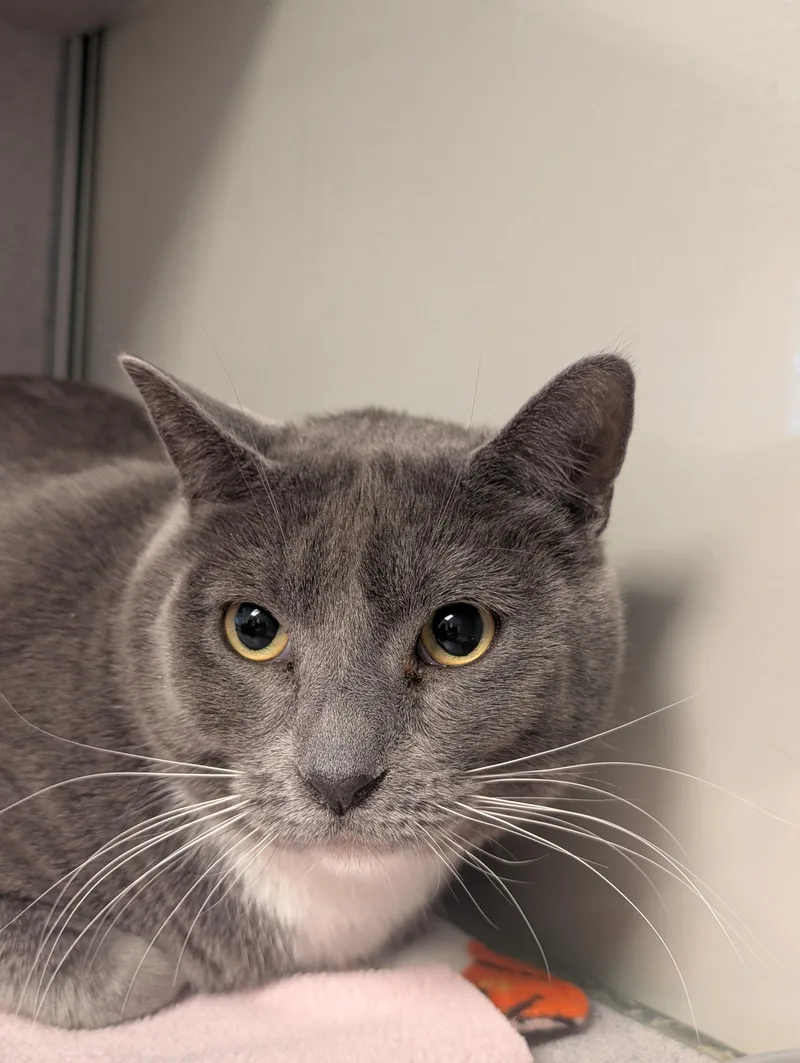 Ralphie — Bonded With