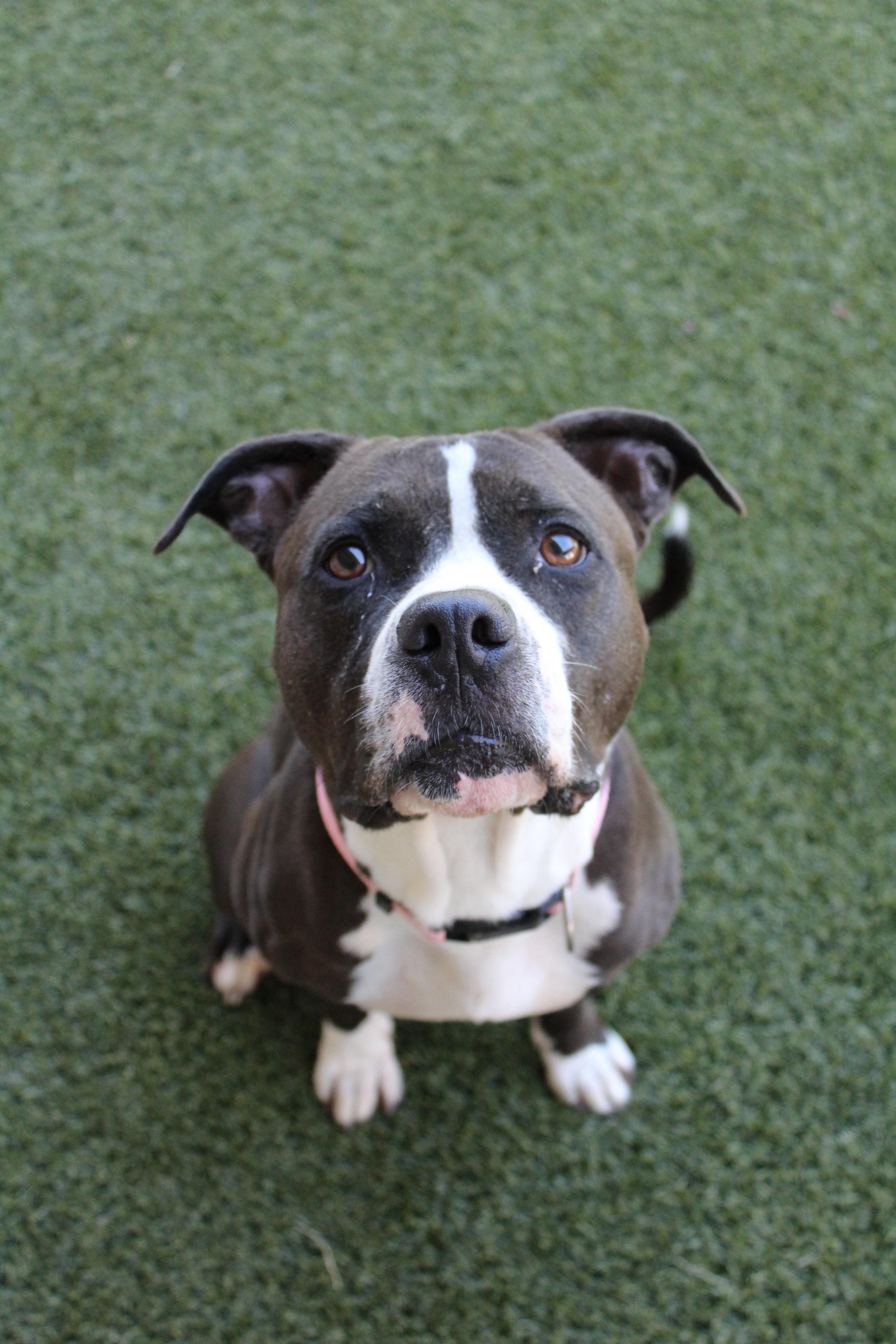 Lady Firefly thumbnail 3