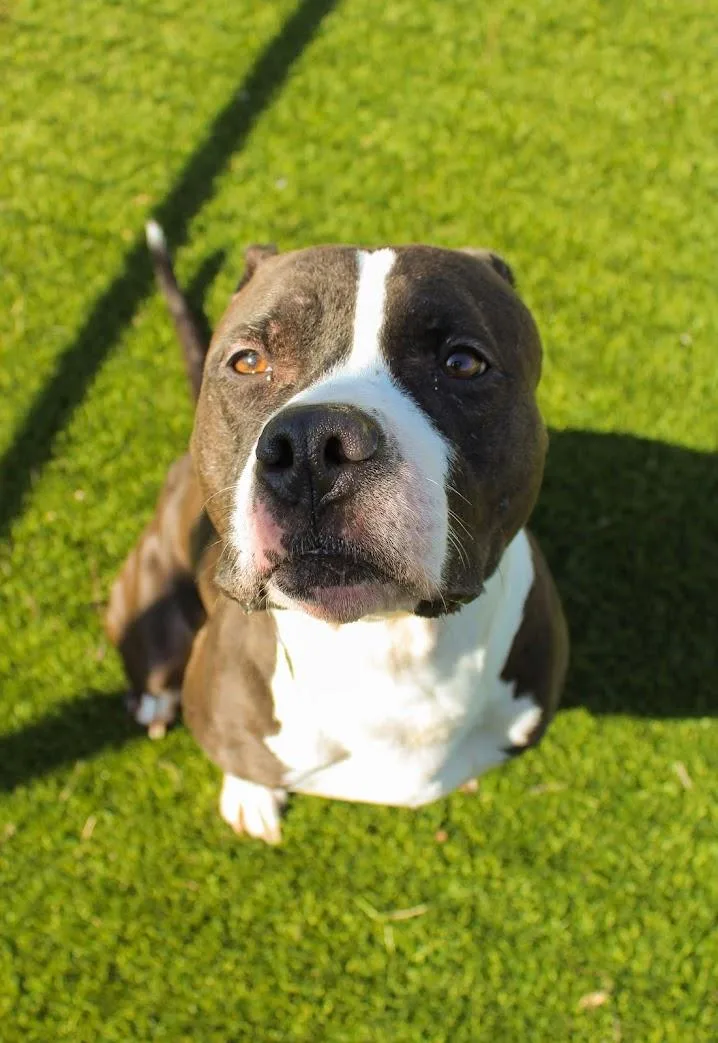 Lady Firefly thumbnail 4