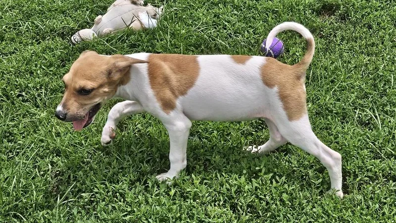 Darla thumbnail 4