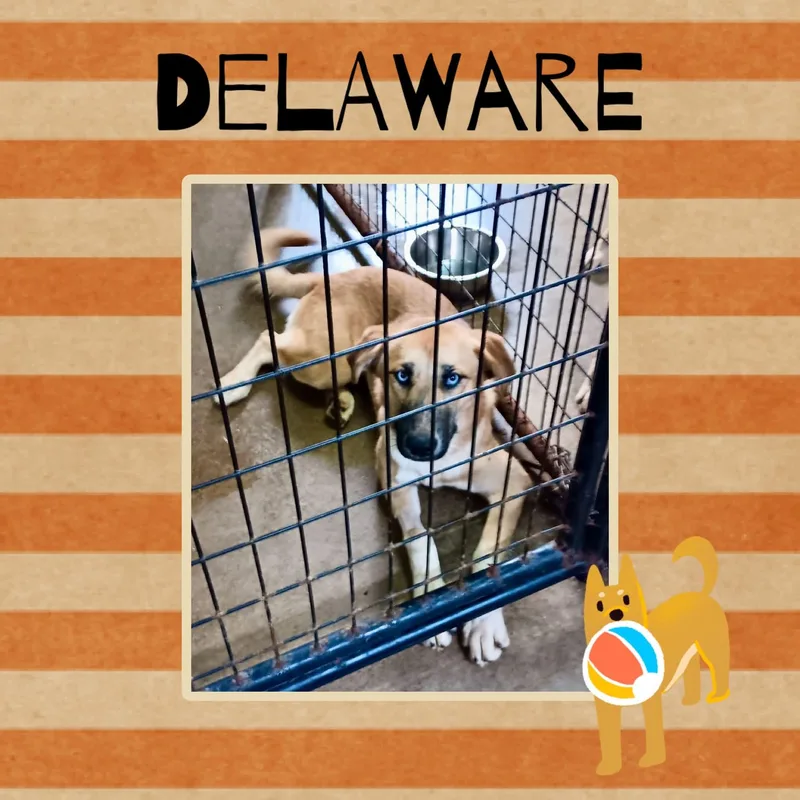 Delaware thumbnail 2