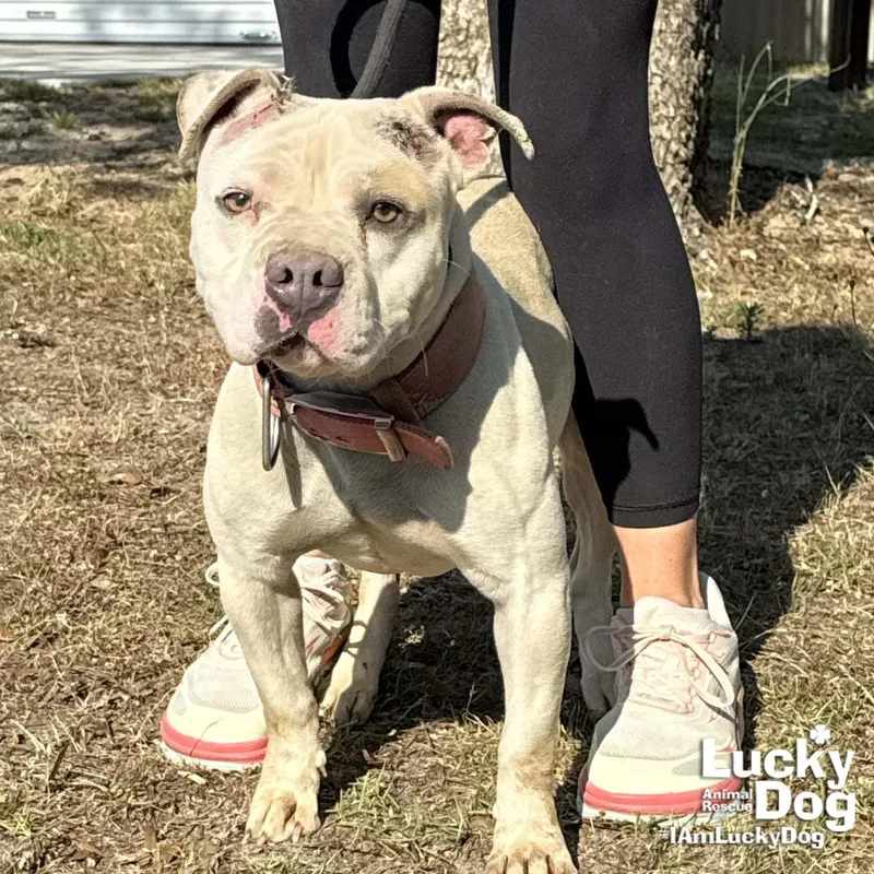 Ms. Peaches thumbnail 2