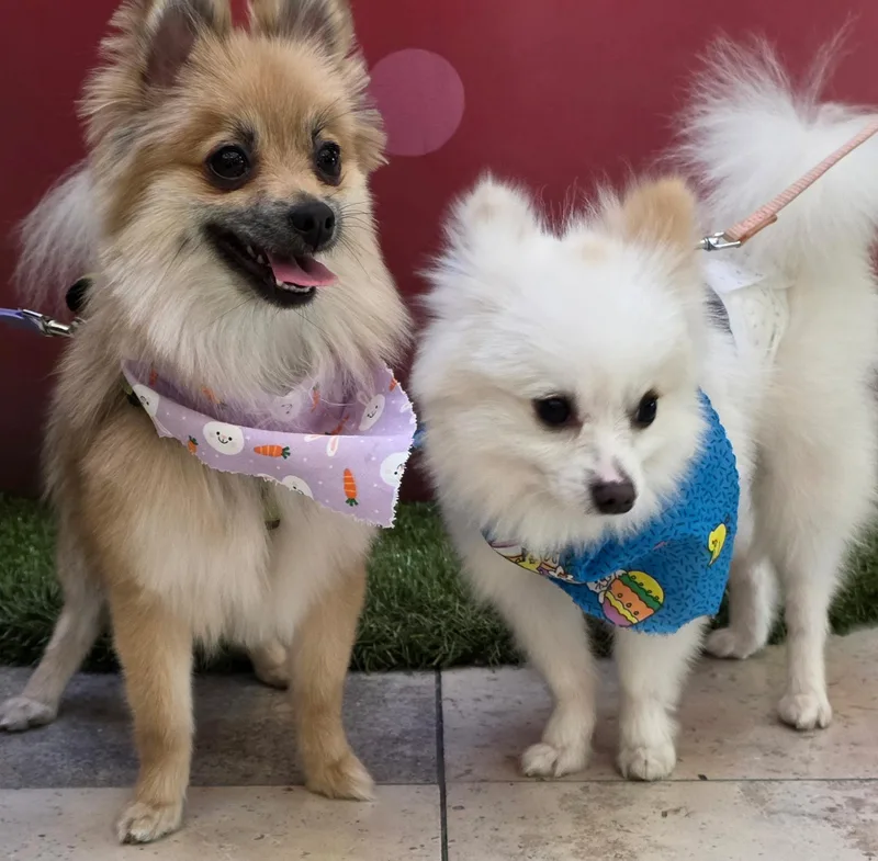 Nala And Max thumbnail 4