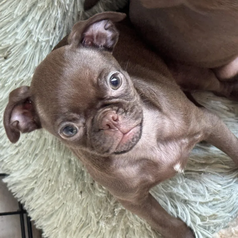 Sally