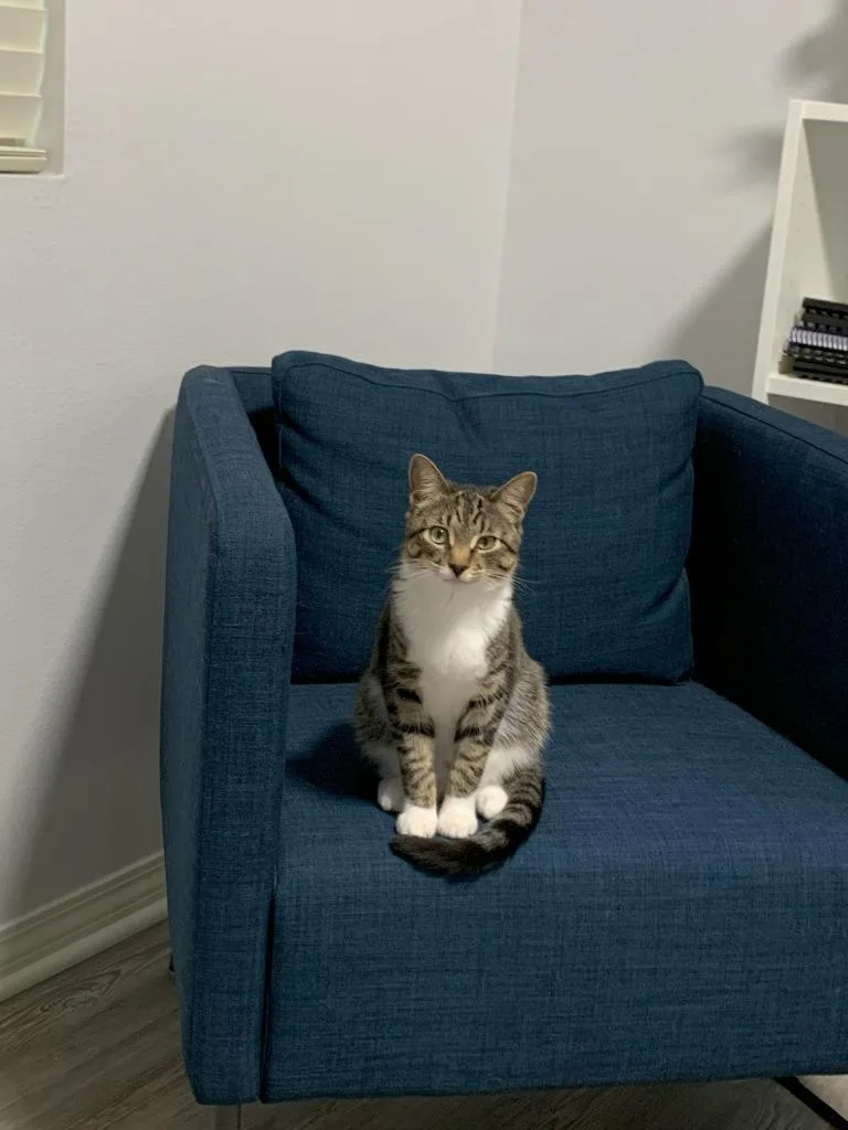 Lois Aka Ada thumbnail 2