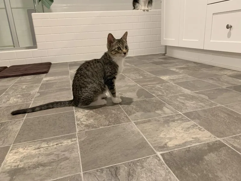 Lois Aka Ada thumbnail 3