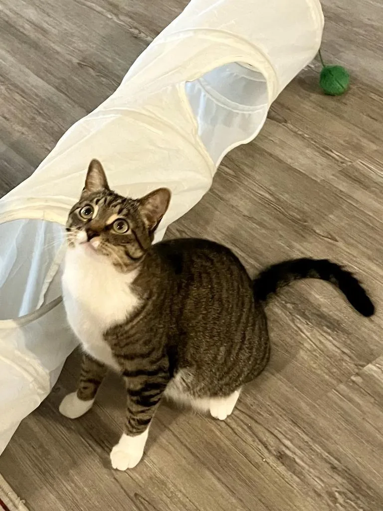 Lois Aka Ada thumbnail 4