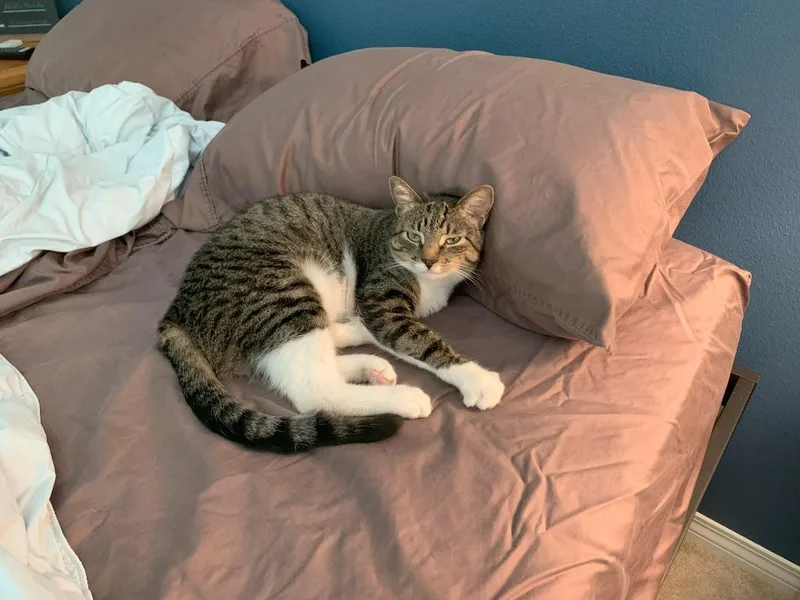 Lois Aka Ada thumbnail 5