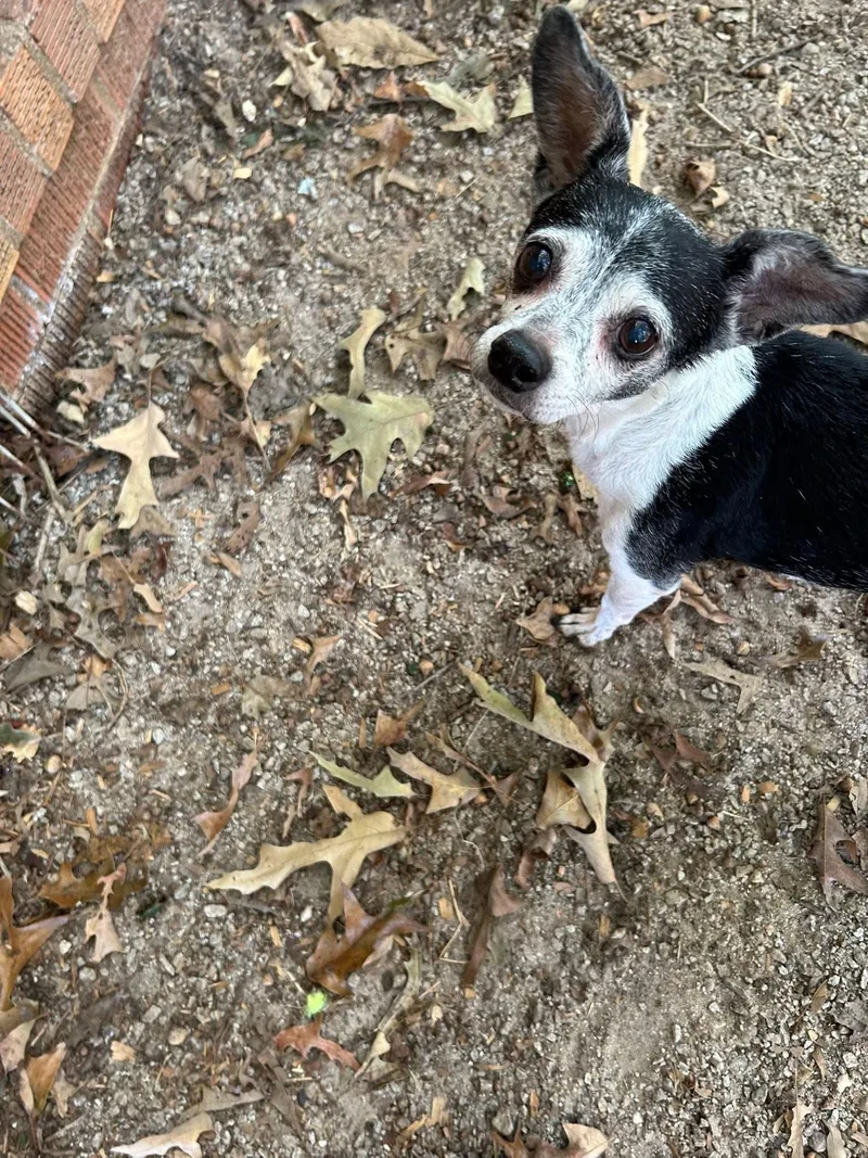 Wendy & Prissy thumbnail 2