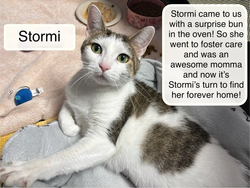Stormi thumbnail 2