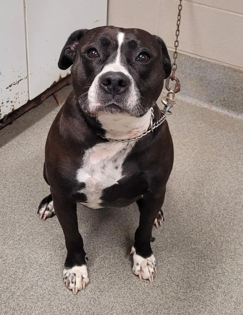 Lil Couch Potatosky thumbnail 2