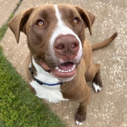 Max