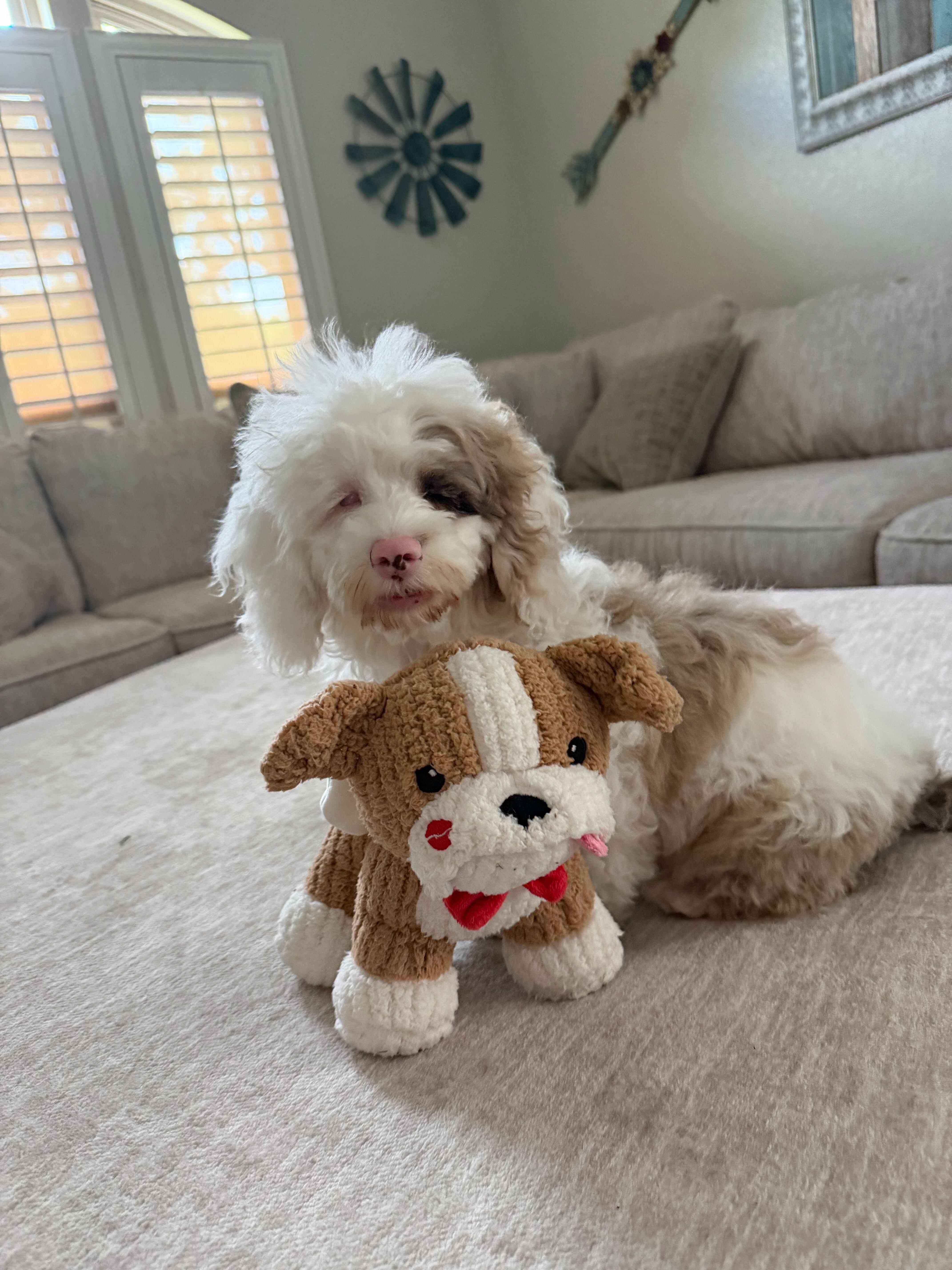 The Teeny’een’y Girls thumbnail 3