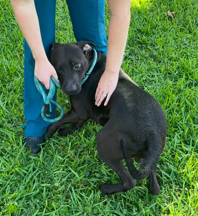 Ziggie Baca 💜 thumbnail 3