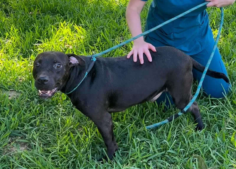 Ziggie Baca 💜 thumbnail 4