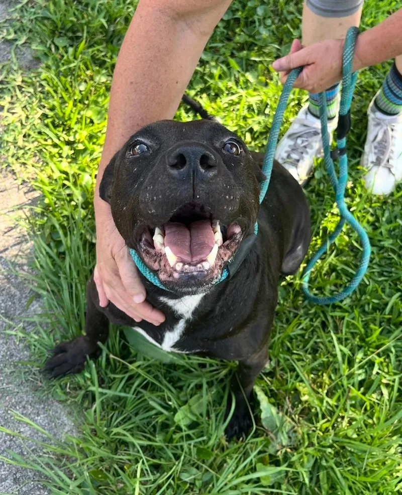 Ziggie Baca 💜 thumbnail 6