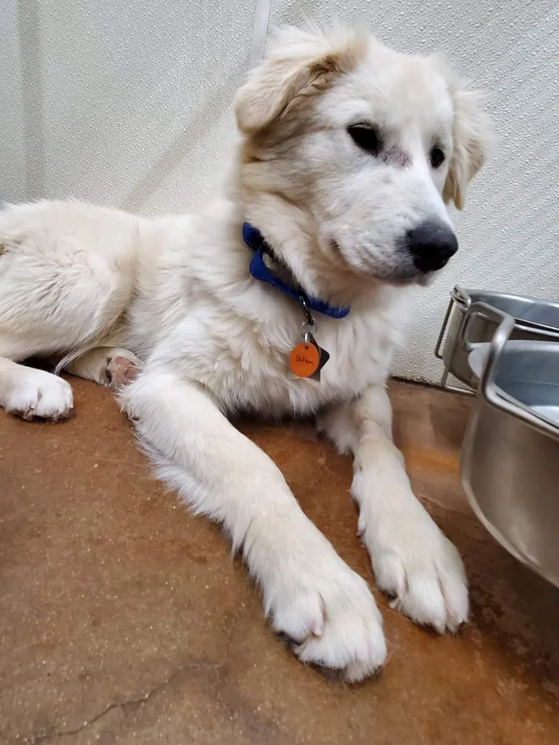 Callan Atx thumbnail 2