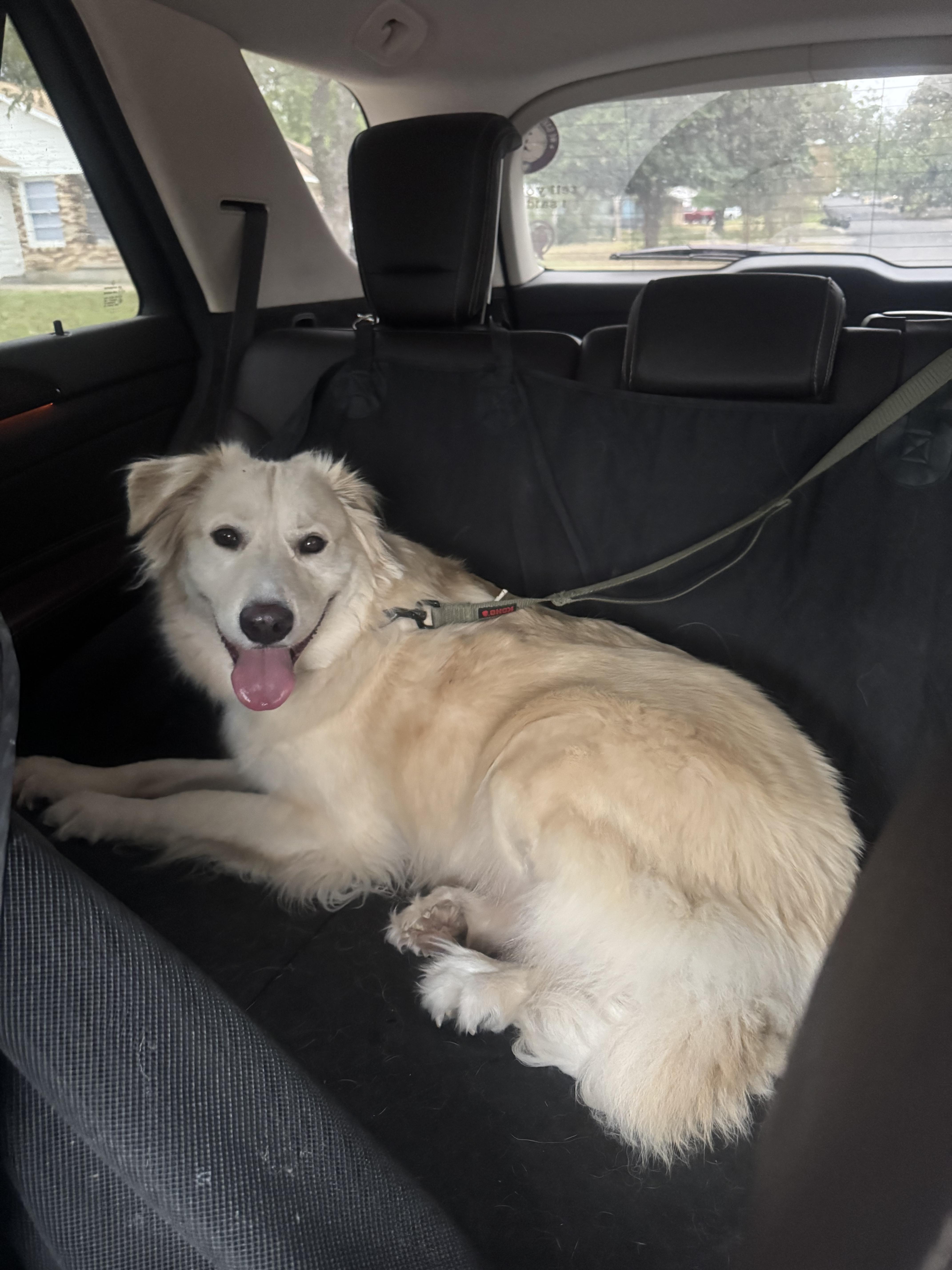 Callan Atx thumbnail 3