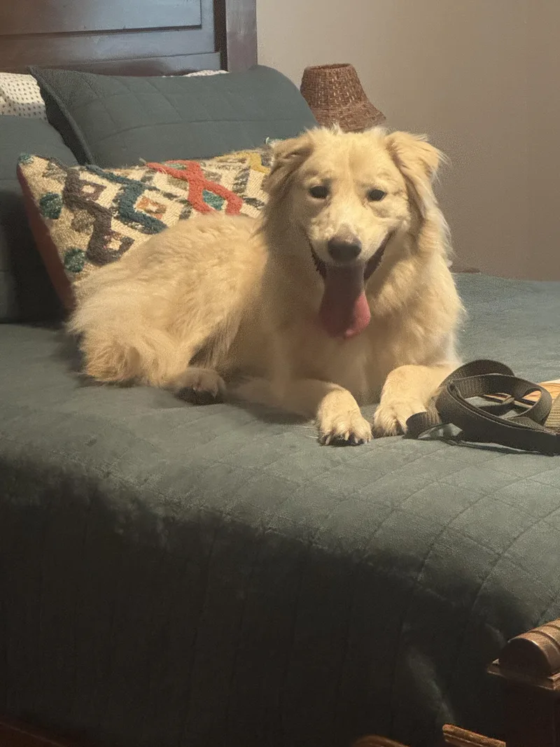 Callan Atx thumbnail 4