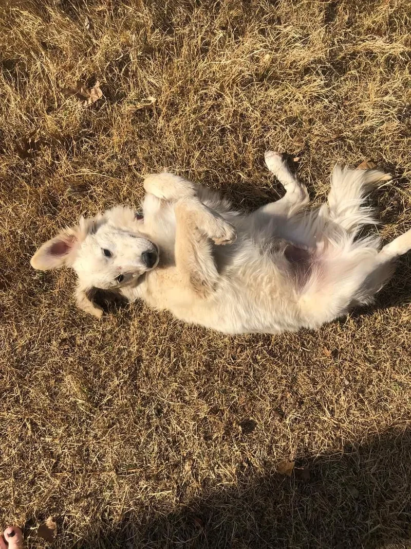 Callan Atx thumbnail 5