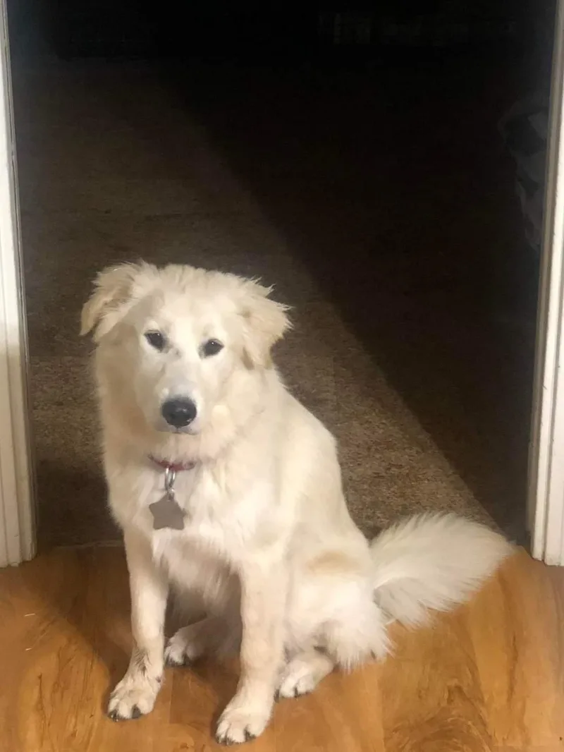 Callan Atx thumbnail 6