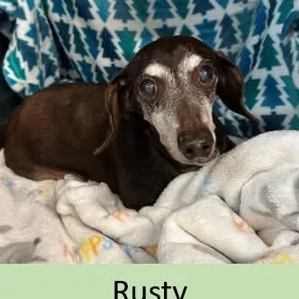 Rusty