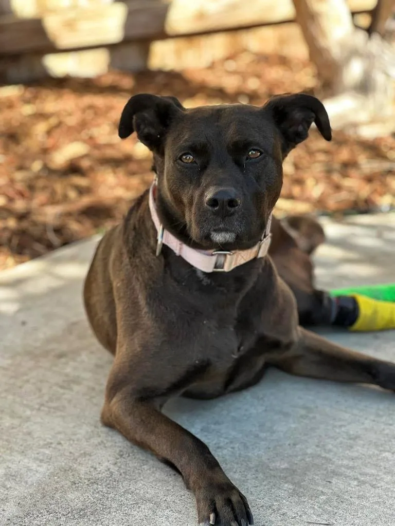 Baby Bailey thumbnail 2