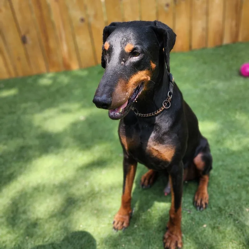 Rexly Jum thumbnail 2