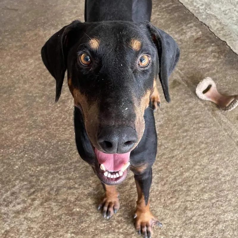 Rexly Jum thumbnail 5