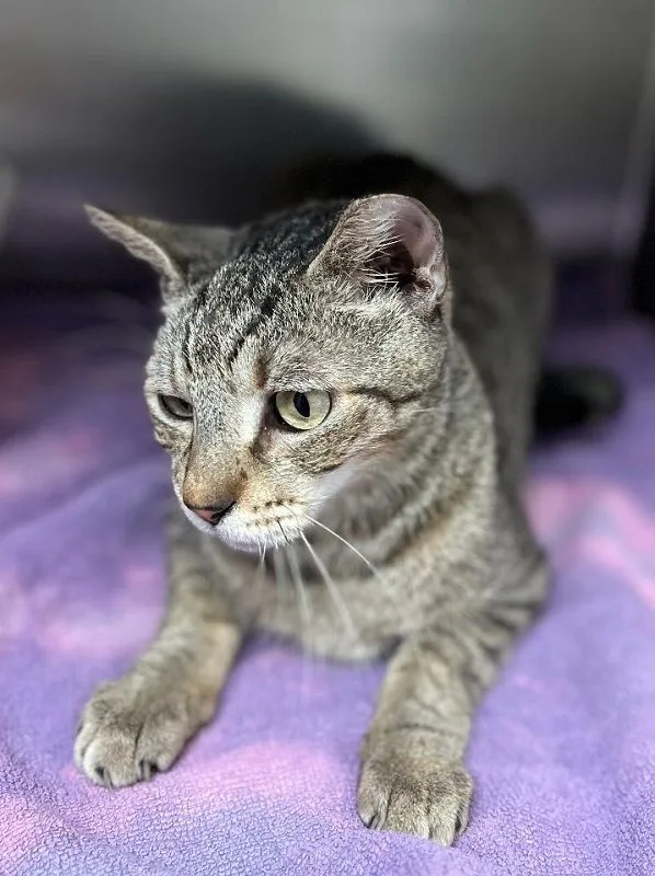 Theodore. thumbnail 2