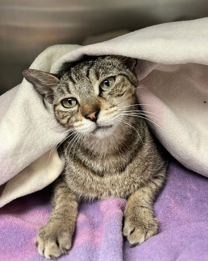 Theodore. thumbnail 3