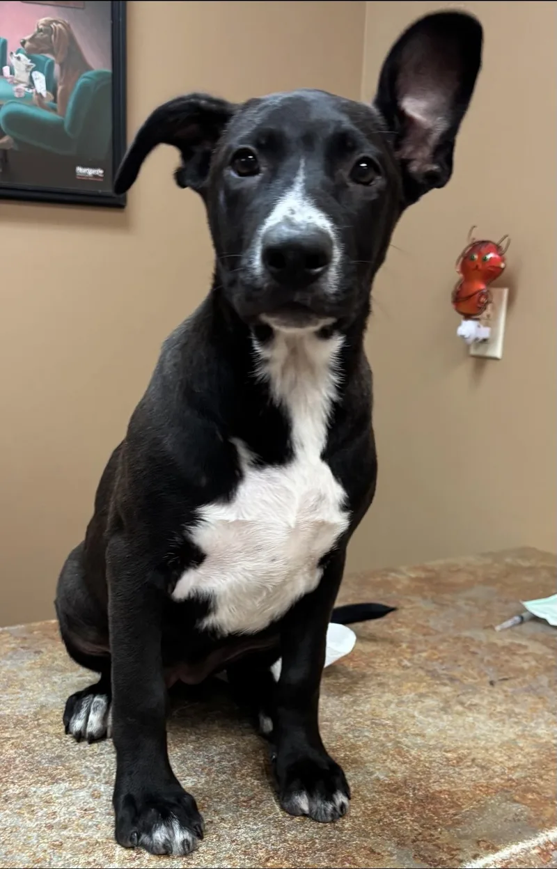 Sparkler thumbnail 2