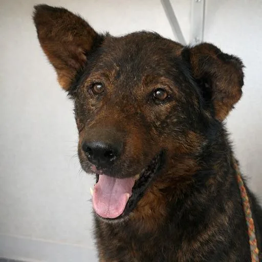 Sparkler thumbnail 2