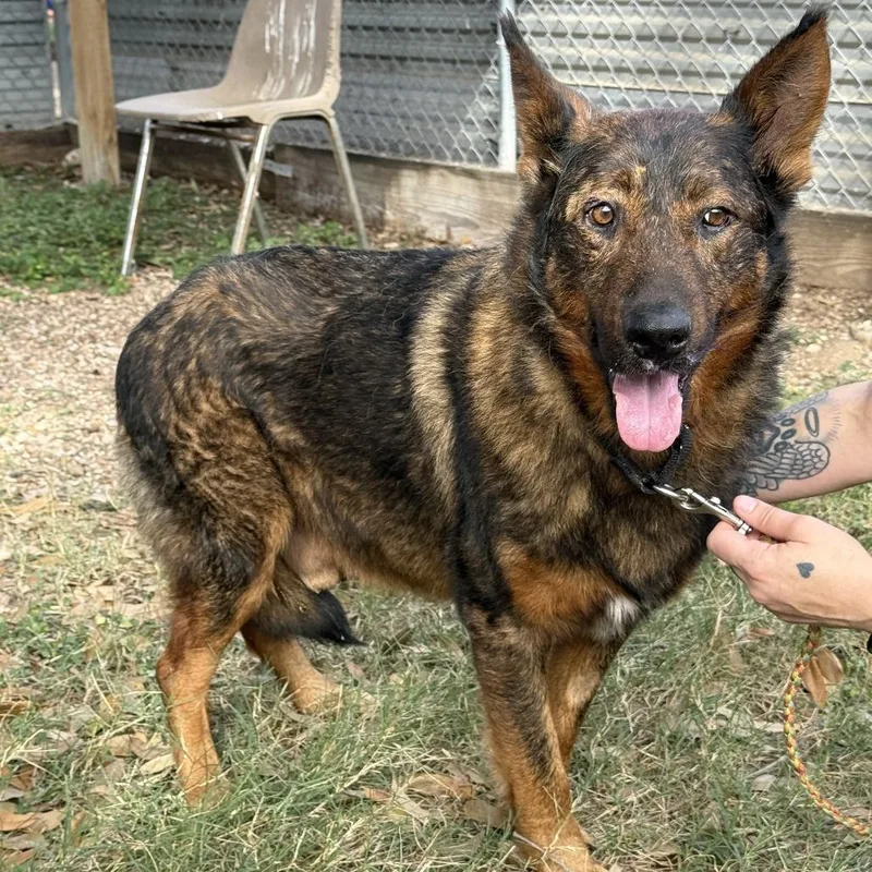 Sparkler thumbnail 5