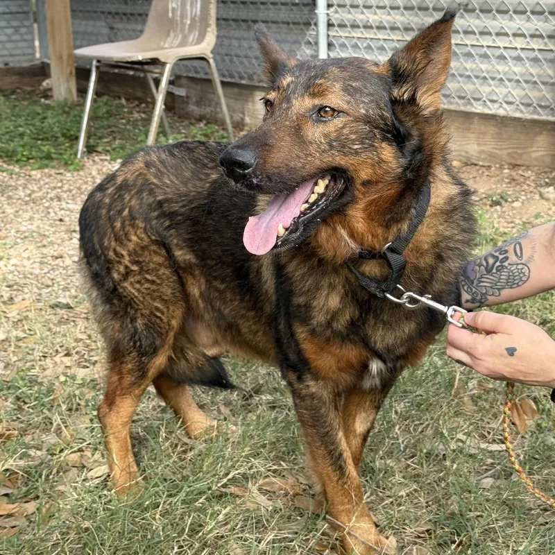 Sparkler thumbnail 6