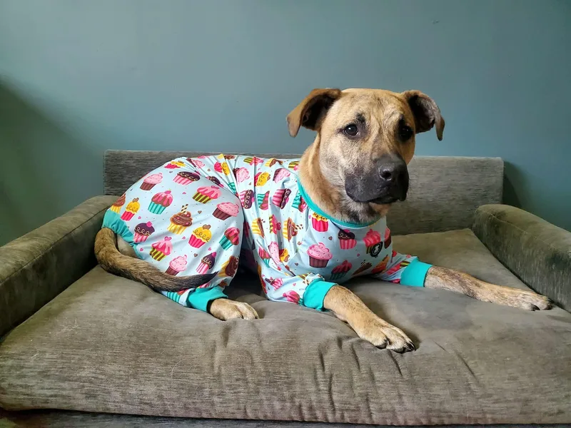 Serena Joy thumbnail 3