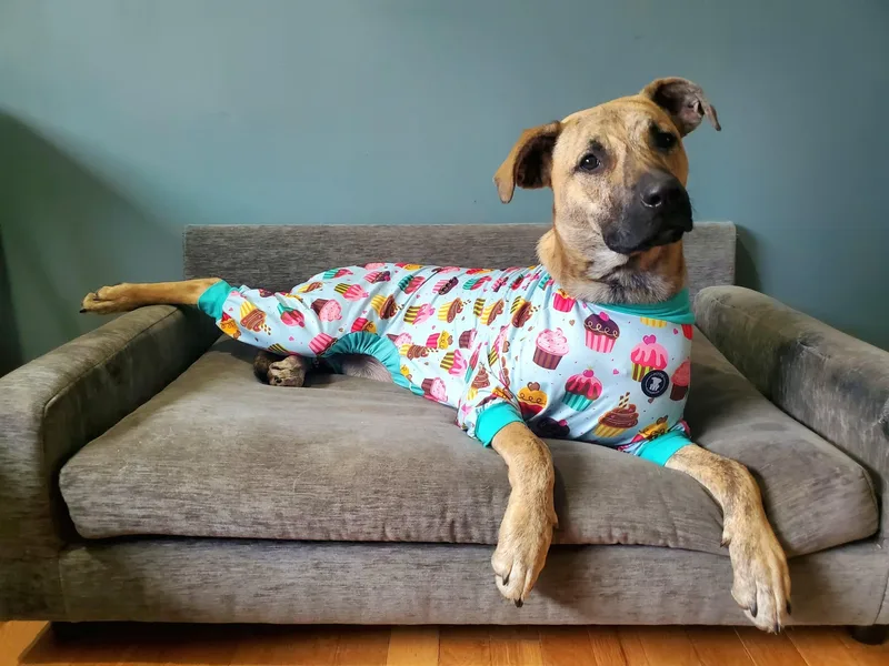 Serena Joy thumbnail 4