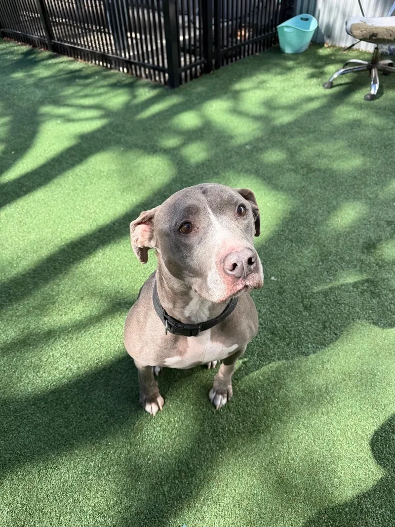 Hercules thumbnail 2