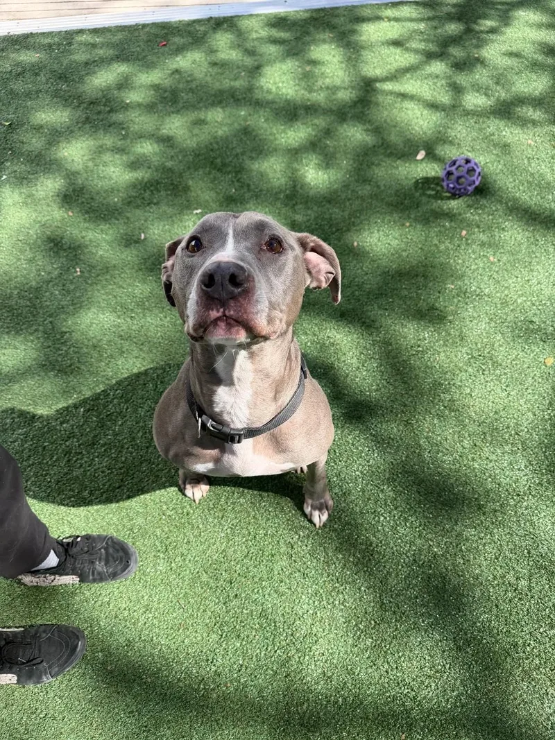 Hercules thumbnail 3