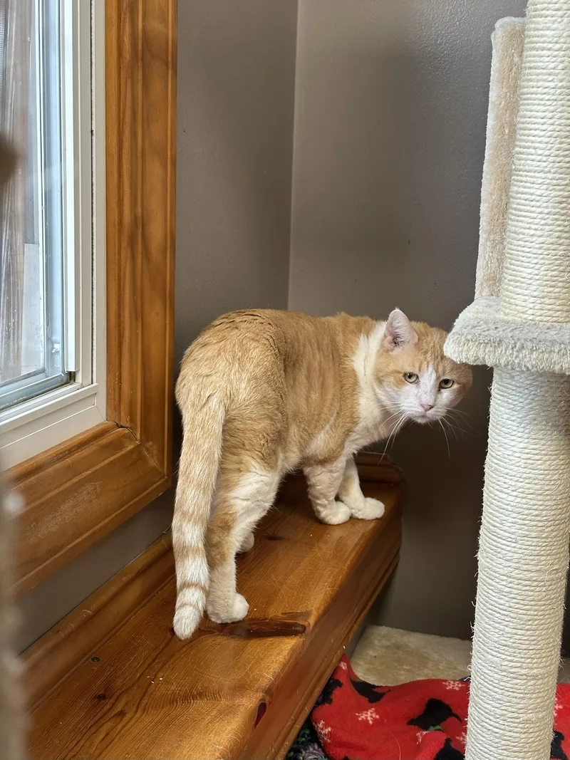 Mcdreamy thumbnail 2