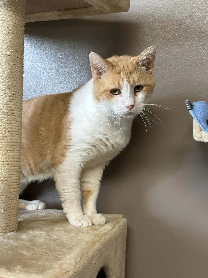 Mcdreamy thumbnail 3