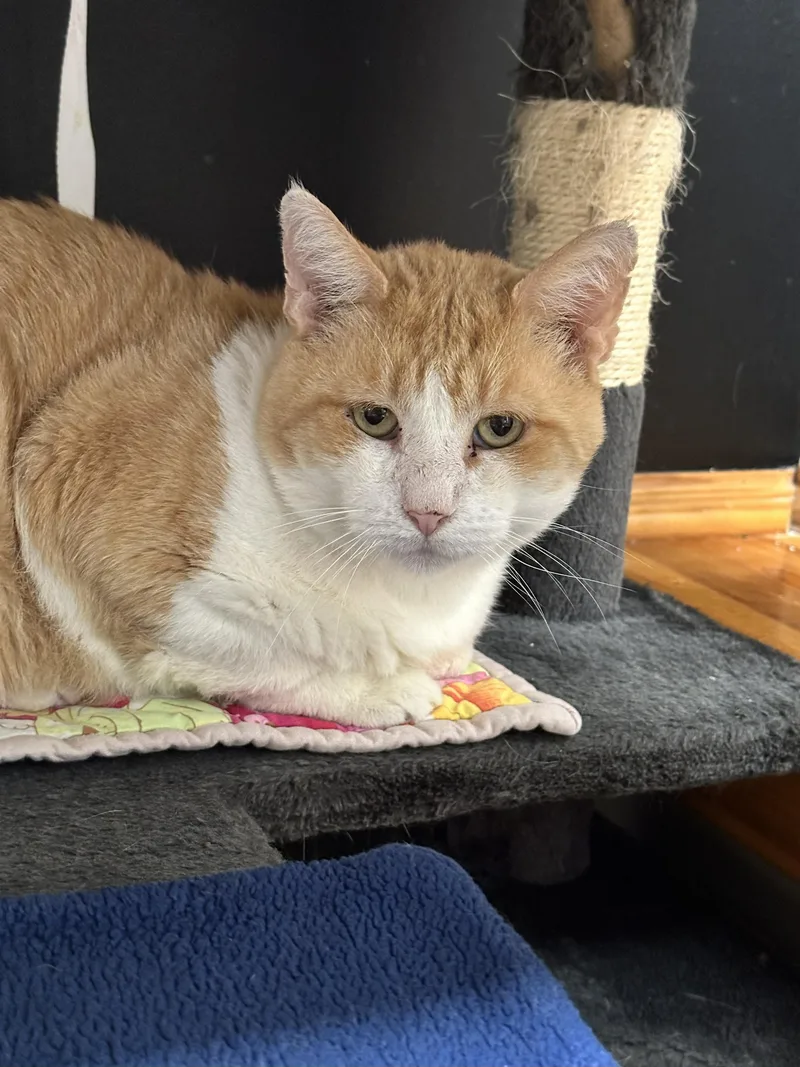 Mcdreamy thumbnail 4